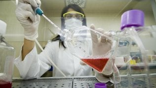 Fondi Ue per la ricerca, Lazio e Lombardia fanno incetta