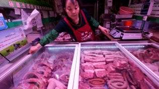 Il risiko dei maiali, dalla Cina ai produttori italiani: la peste sconvolge il mercato