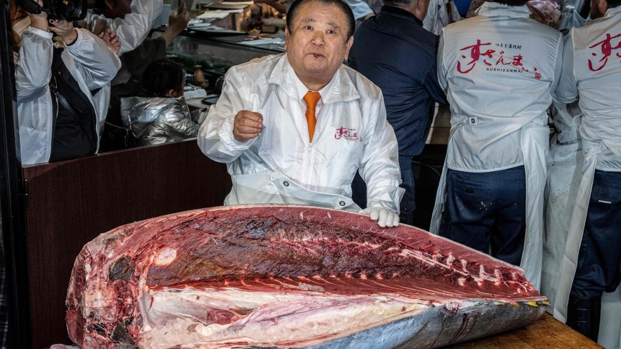 Va all’asta il tonno dei record: viene battuto a Capodanno per 3,24 milioni di dollari