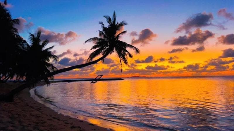 Maldive a 250 euro e Australia low cost. La crisi del Golfo scatena la guerra dei prezzi tra vettori